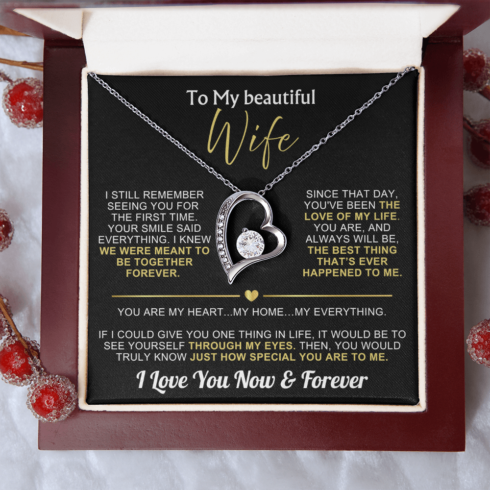 To My Wife - I Love You Now & Forever Necklace Gift Set