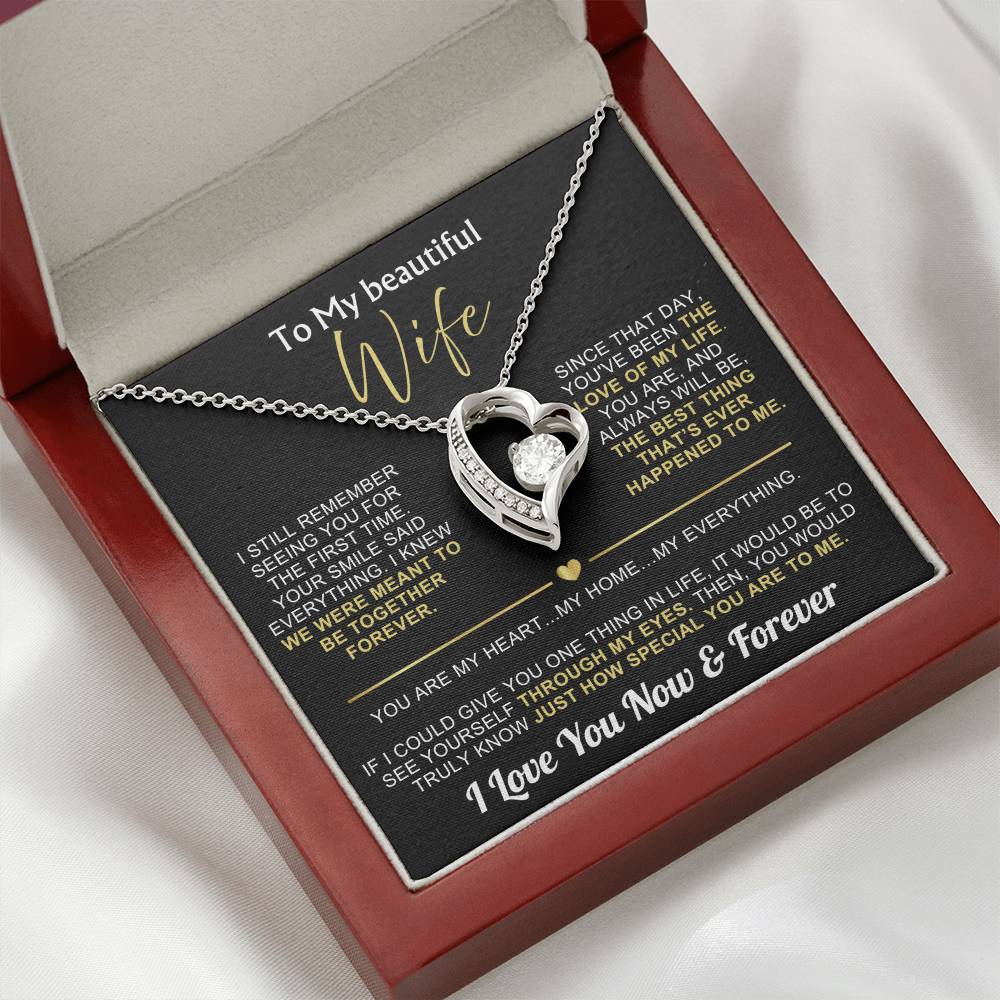 To My Wife - I Love You Now & Forever Necklace Gift Set