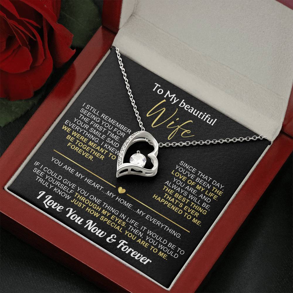 To My Wife - I Love You Now & Forever Necklace Gift Set