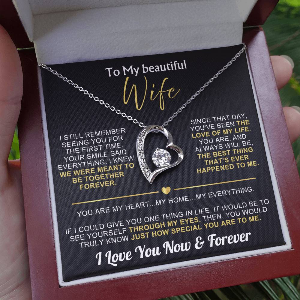 To My Wife - I Love You Now & Forever Necklace Gift Set