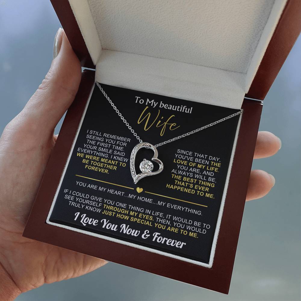 To My Wife - I Love You Now & Forever Necklace Gift Set