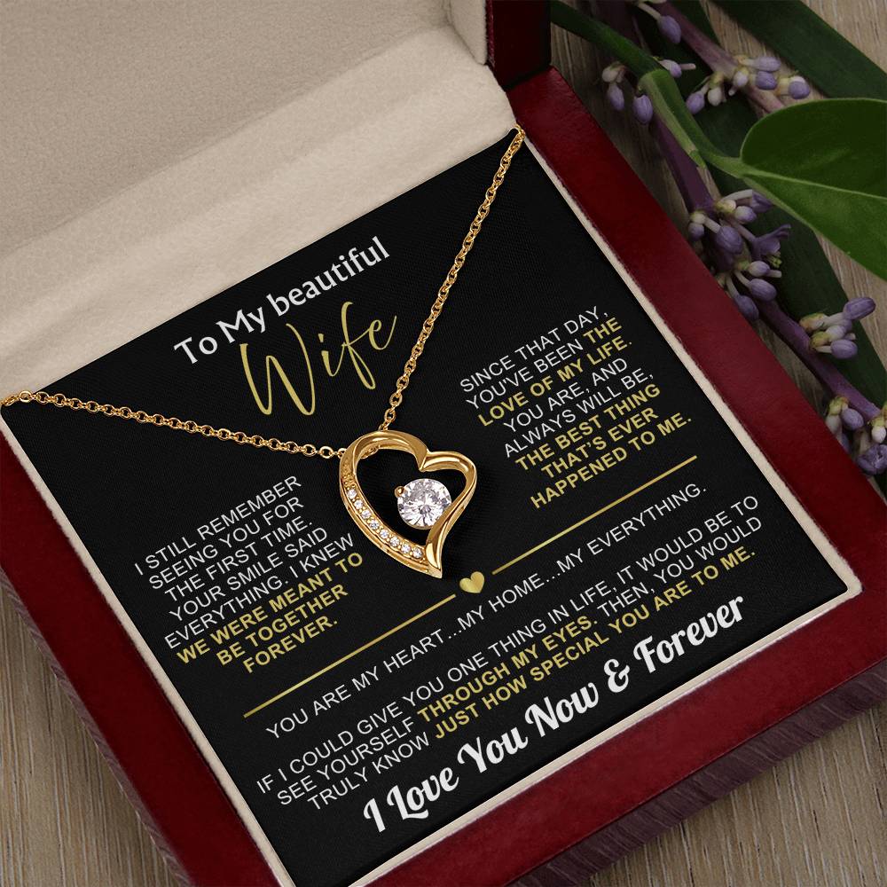 To My Wife - I Love You Now & Forever Necklace Gift Set