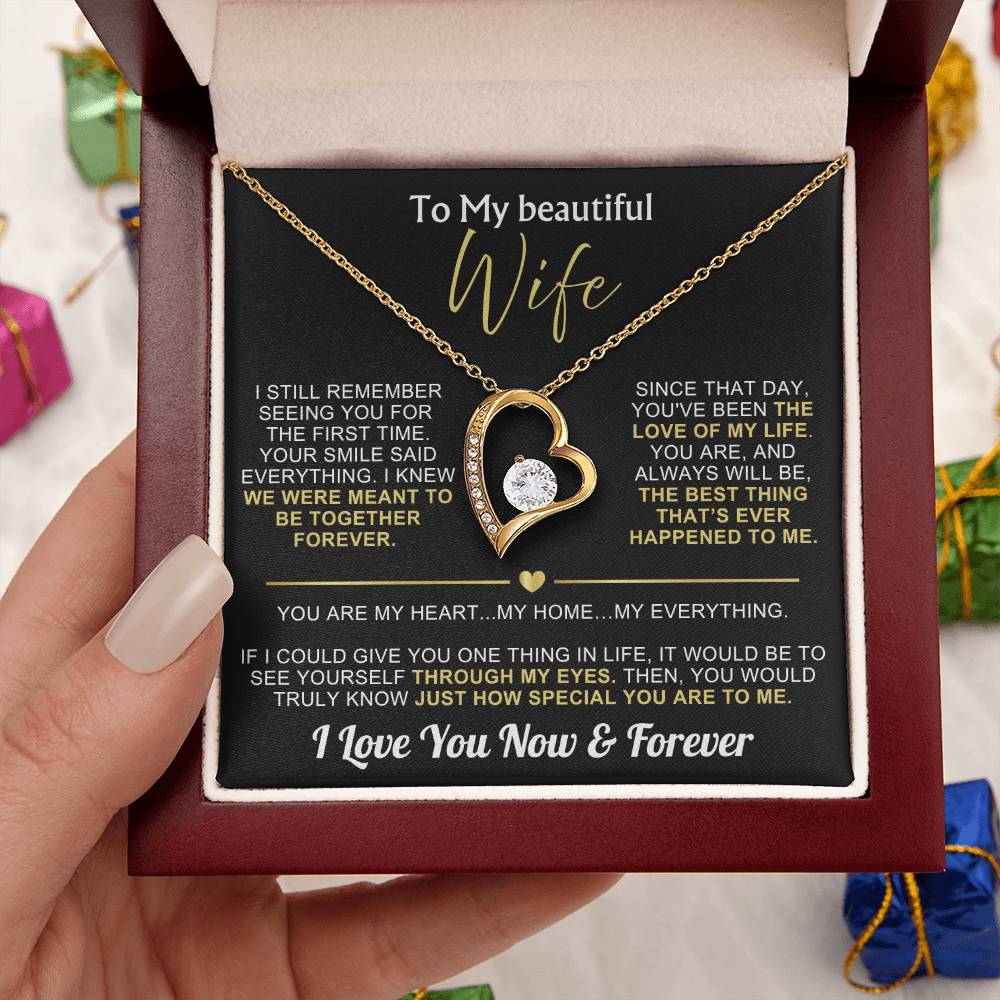To My Wife - I Love You Now & Forever Necklace Gift Set