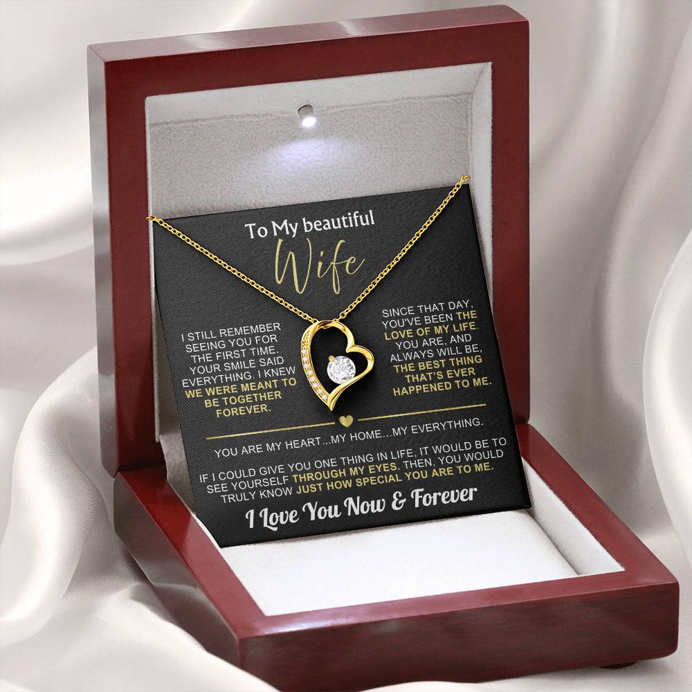 To My Wife - I Love You Now & Forever Necklace Gift Set