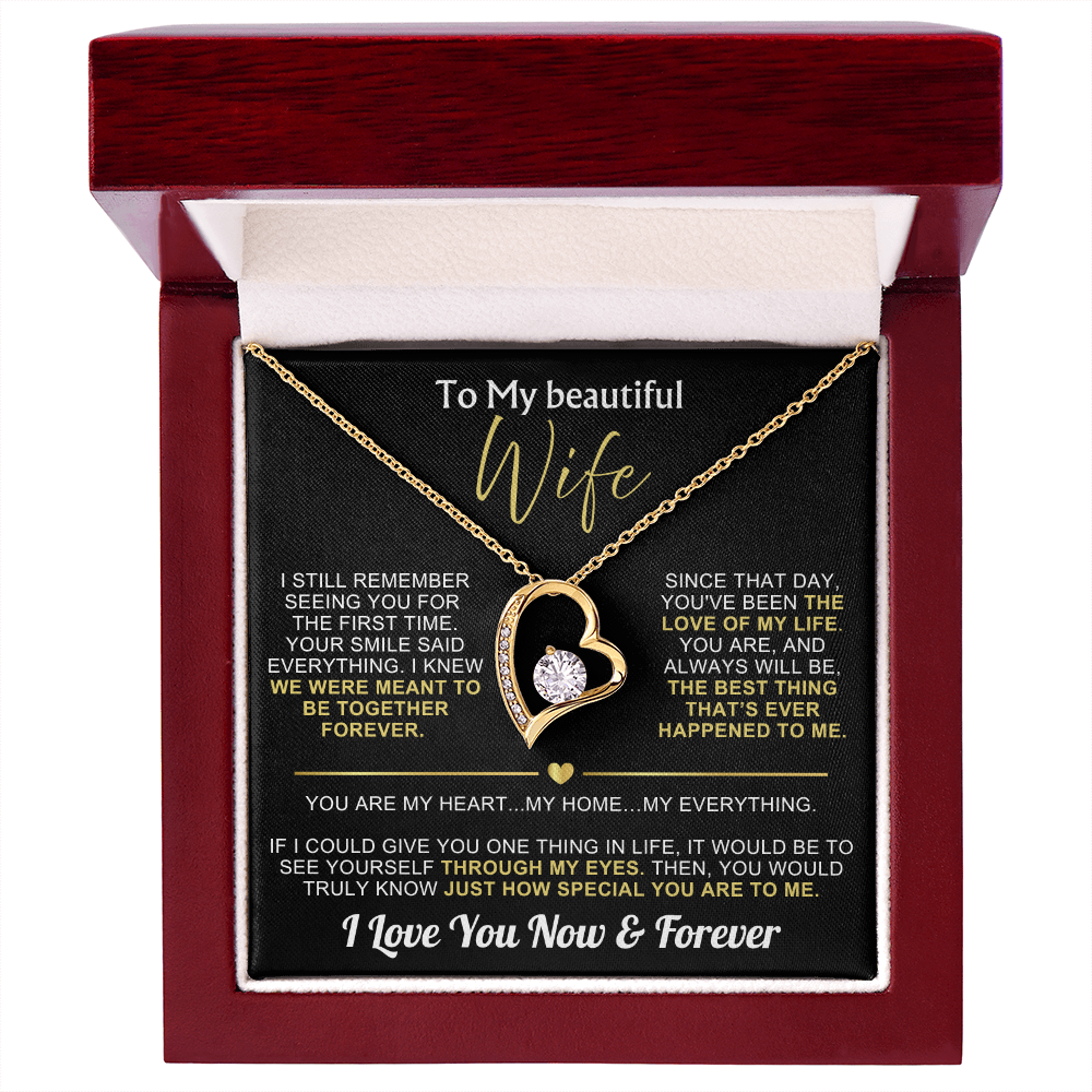 To My Wife - I Love You Now & Forever Necklace Gift Set