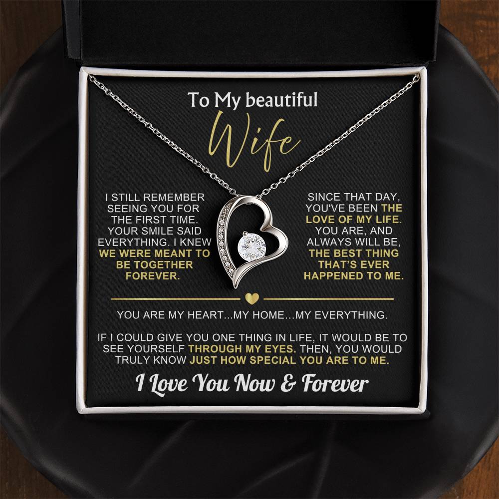 To My Wife - I Love You Now & Forever Necklace Gift Set