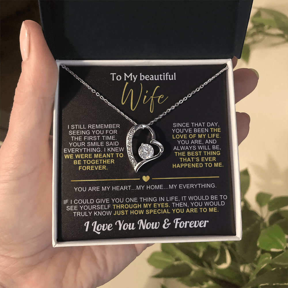 To My Wife - I Love You Now & Forever Necklace Gift Set