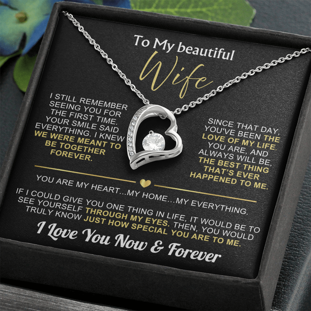 To My Wife - I Love You Now & Forever Necklace Gift Set