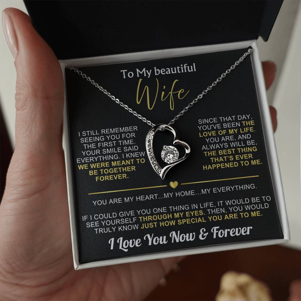 To My Wife - I Love You Now & Forever Necklace Gift Set
