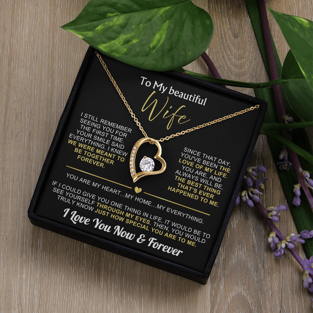 To My Wife - I Love You Now & Forever Necklace Gift Set