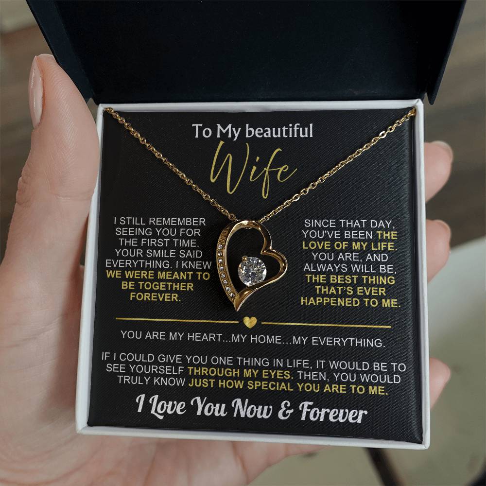 To My Wife - I Love You Now & Forever Necklace Gift Set