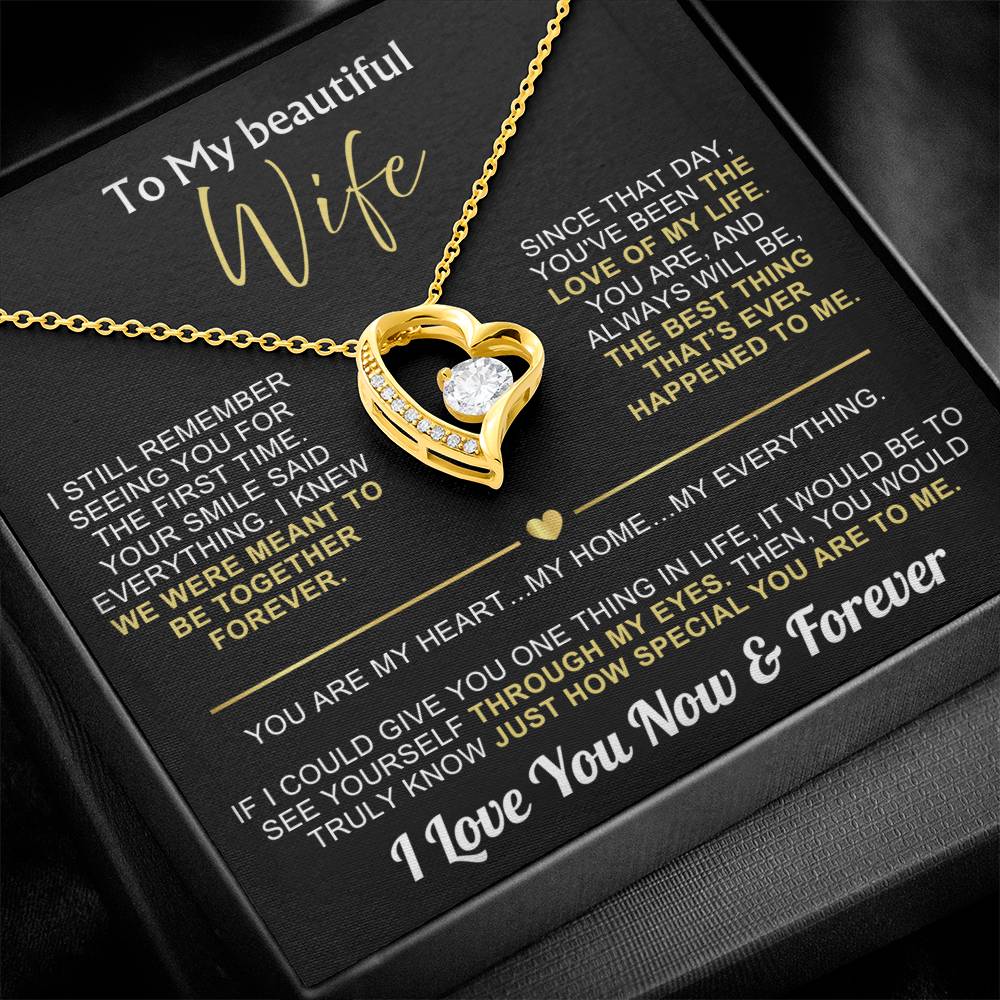 To My Wife - I Love You Now & Forever Necklace Gift Set