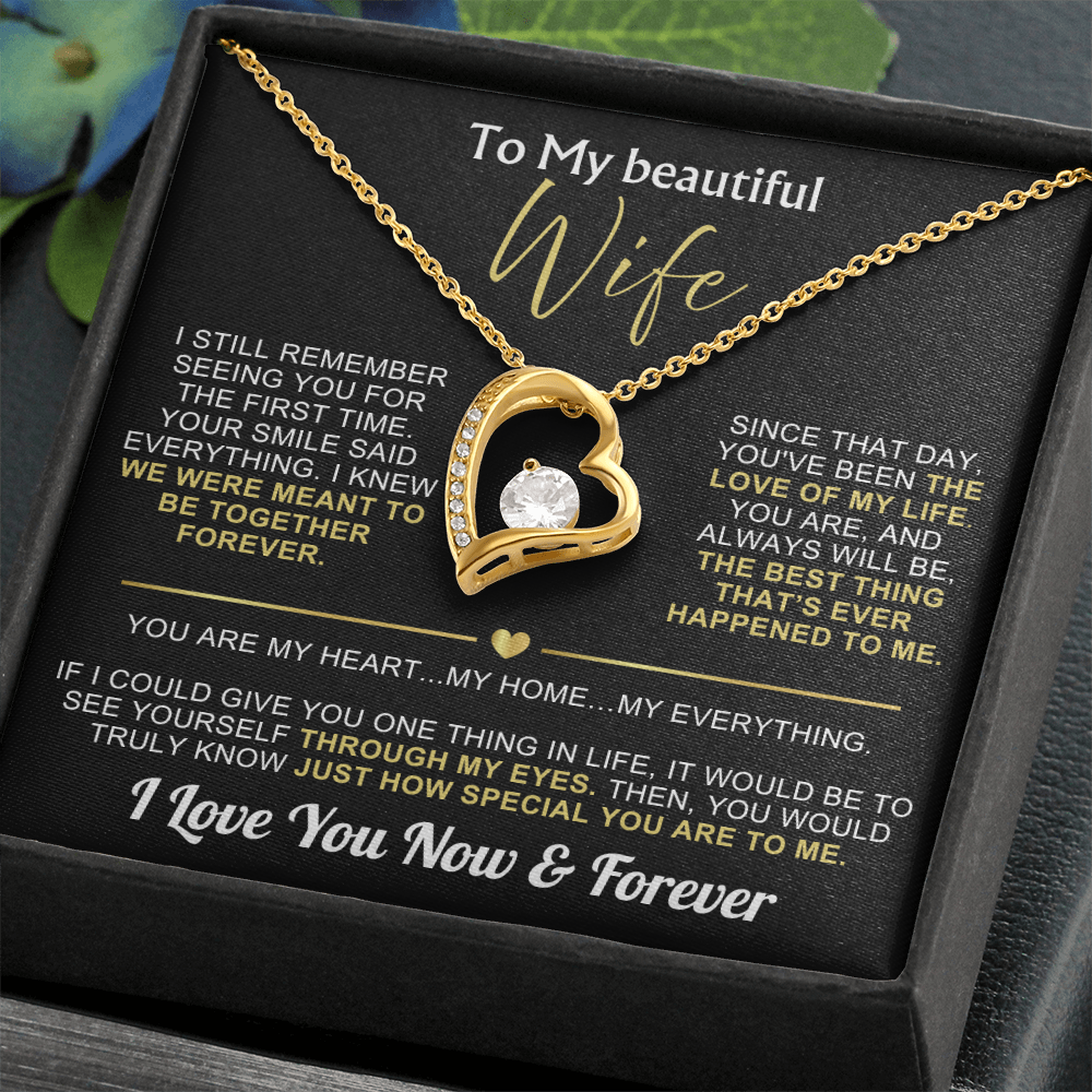 To My Wife - I Love You Now & Forever Necklace Gift Set