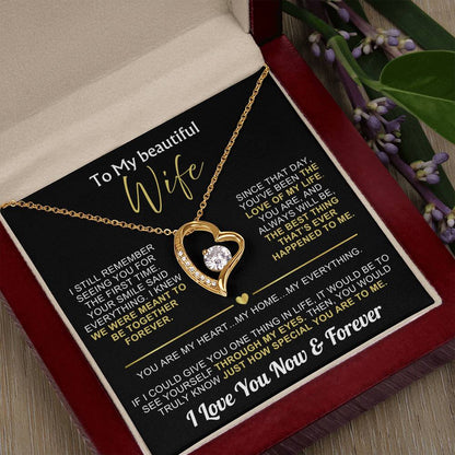 To My Wife - I Love You Now & Forever Necklace Gift Set