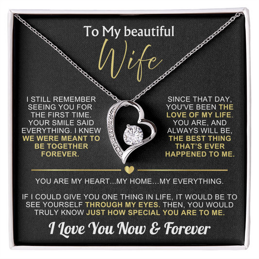 To My Wife - I Love You Now & Forever Necklace Gift Set