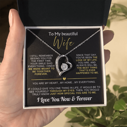 To My Wife - I Love You Now & Forever Necklace Gift Set